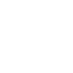 Icon Fenster
